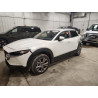 2025 MAZDA CX30 3MVDMBCM4SM801898 87442455