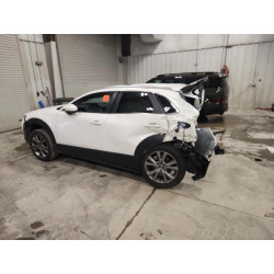 2025 MAZDA CX30 3MVDMBCM4SM801898 87442455