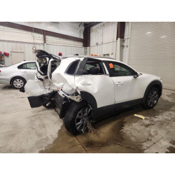 2025 MAZDA CX30 3MVDMBCM4SM801898 87442455
