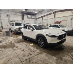 2025 MAZDA CX30 3MVDMBCM4SM801898 87442455