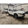 2025 MAZDA CX30 3MVDMBCM4SM801898 87442455