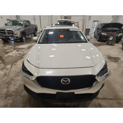 2025 MAZDA CX30 3MVDMBCM4SM801898 87442455