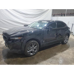 2025 MAZDA CX30 3MVDMBDM4SM754032 67626235