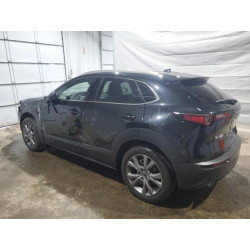 2025 MAZDA CX30 3MVDMBDM4SM754032 67626235
