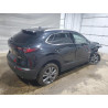 2025 MAZDA CX30 3MVDMBDM4SM754032 67626235