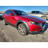 2024 MAZDA CX30 3MVDMBCM8RM637730 90454225