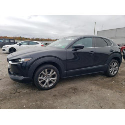 2021 MAZDA CX30 3MVDMBCL9MM269266 85411785