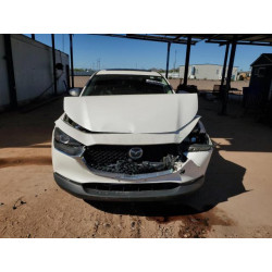 2021 MAZDA CX30 3MVDMBCL0MM217248 82269665