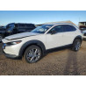2023 MAZDA CX30 3MVDMBCM7PM505801 89545055