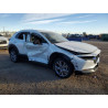 2023 MAZDA CX30 3MVDMBCM7PM505801 89545055