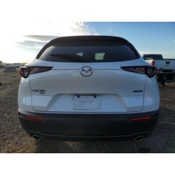 2023 MAZDA CX30 3MVDMBCM7PM505801 89545055