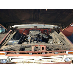1966 FORD F SERIES