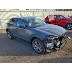 2021 MAZDA CX30 3MVDMBDL8MM314874 93743205