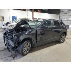 2024 MAZDA CX30 3MVDMBCMXRM631959 81025065