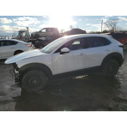 2025 MAZDA CX30 3MVDMBBM7SM847811 91999145