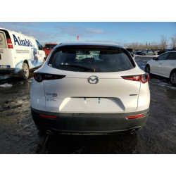 2025 MAZDA CX30 3MVDMBBM7SM847811 91999145