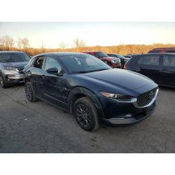 2021 MAZDA CX30 3MVDMBAL9MM269125 93806545