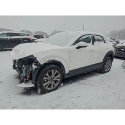 2021 MAZDA CX30 3MVDMBCL2MM210463 94357525