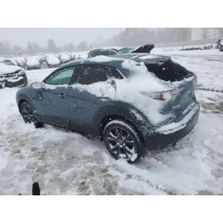 2022 MAZDA CX30 3MVDMBAY9NM442834 91933855