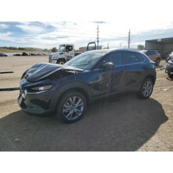2025 MAZDA CX30 3MVDMBCM6SM840783 87461435