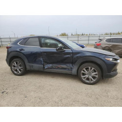 2023 MAZDA CX30 3MVDMBCM7PM531962 84406255
