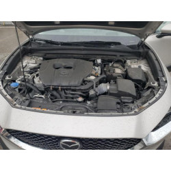 2023 MAZDA CX30 3MVDMBDM4PM525874 70596885