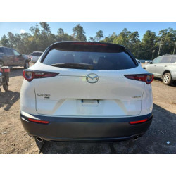 2022 MAZDA CX30 3MVDMBAL5NM425355 89858425
