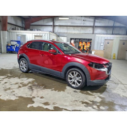 2020 MAZDA CX30 3MVDMBEM7LM111223 95029105