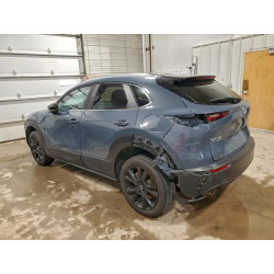 2025 MAZDA CX30 3MVDMBCM1SM790889 95720325