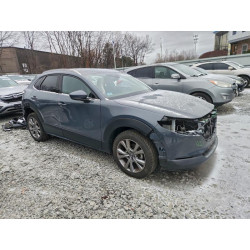 2020 MAZDA CX30 3MVDMBEM1LM123917 95354935
