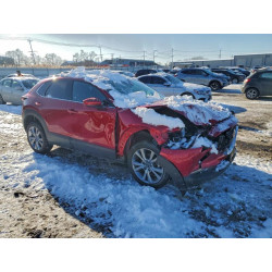 2022 MAZDA CX30 3MVDMBDL5NM447321 95094495