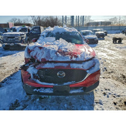 2022 MAZDA CX30 3MVDMBDL5NM447321 95094495