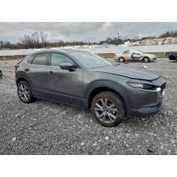 2022 MAZDA CX30 3MVDMBDL4NM421194 93988735