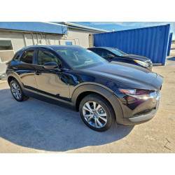 2022 MAZDA CX30 3MVDMBBL1NM436917 96835875