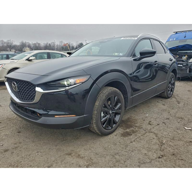 2025 MAZDA CX30 3MVDMBBM1SM820233 94045625