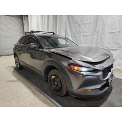 2021 MAZDA CX30 3MVDMBCL2MM300860 86324775