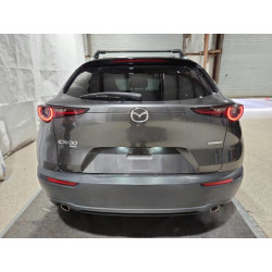 2021 MAZDA CX30 3MVDMBCL2MM300860 86324775