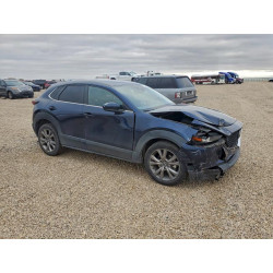 2020 MAZDA CX30 3MVDMACL0LM126036 95554155