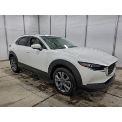 2023 MAZDA CX30 3MVDMBDM8PM582742 92212645