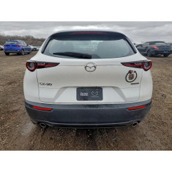 2021 MAZDA CX30 3MVDMAAL4MM209070 93250425