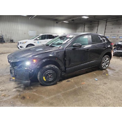 2021 MAZDA CX30 3MVDMBCL7MM273137 92917775