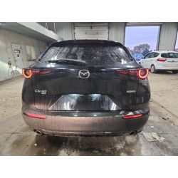 2021 MAZDA CX30 3MVDMBCL7MM273137 92917775