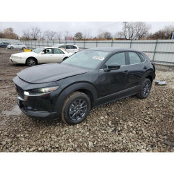 2025 MAZDA CX30 3MVDMBAMXSM834083 93050345