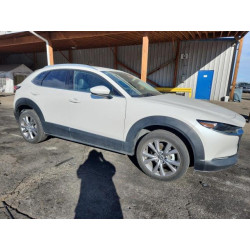 2023 MAZDA CX30 3MVDMBDMXPM575646 93012765