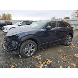 2025 MAZDA CX30 3MVDMBCM6SM811798 91248025