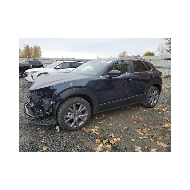2025 MAZDA CX30 3MVDMBCM6SM811798 91248025
