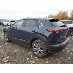 2025 MAZDA CX30 3MVDMBCM6SM811798 91248025