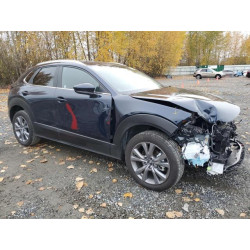 2025 MAZDA CX30 3MVDMBCM6SM811798 91248025