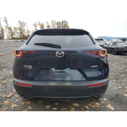 2025 MAZDA CX30 3MVDMBCM6SM811798 91248025