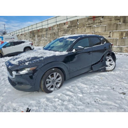 2020 MAZDA CX30 3MVDMBCL3LM139918 96969015